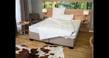 BeCo Winterdekbed ANTI-ALLERGIE (155 x 220 cm)