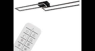 Briloner Plafondlamp (rechthoekig (zwart))