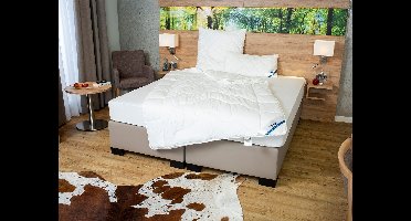 BeCo 4-seizoenen dekbed ANTI-ALLERGIE (155 x 220 cm)