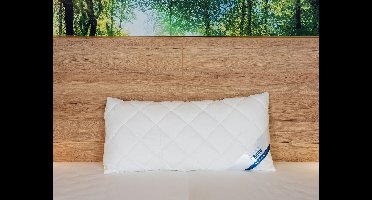 BeCo Hoofdkussen (40 x 80 cm)