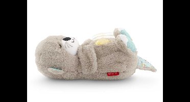 FISHER-PRICE Bedtijd knuffel Soothe 'n Snuggle Otter