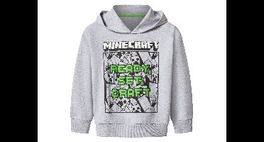 Kinder hoodie (Grijs, 122/128)