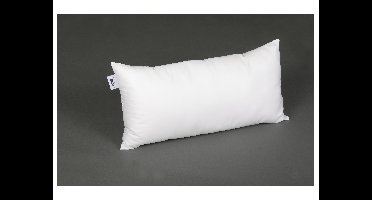 BeCo Hoofdkussen KlimaTop Tencel (80 x 40 cm)