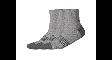 PARKSIDE 3 Paar werksokken (Grijs, 39-42)