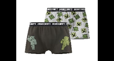 Set van 2 kinder boxers - Minecraft of Pokémon (Antraciet/groen, 158/164)