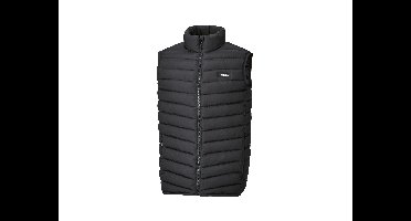 PARKSIDE Heren bodywarmer (Zwart, XL)