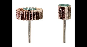 PARKSIDE Accessoires voor rechte slijper (Lamellenschuurset)