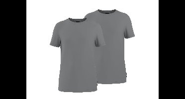 PARKSIDE Set van 2 heren T-shirts (Grijs, L)