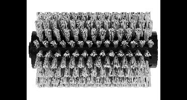 PARKSIDE Oppervlakteborstels (Borstelrol zacht)