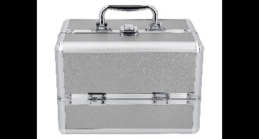 Make-up koffer (Zilver)