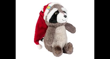 Lidl wasbeer knuffel