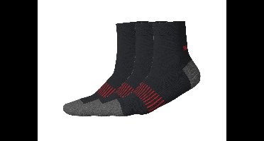 PARKSIDE 3 Paar werksokken (Zwart, 39-42)