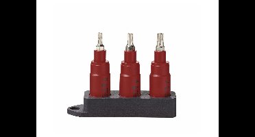 PARKSIDE Ratel, bit- of doppenset (Bitset/torx)