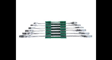 PARKSIDE Ring- of steeksleutelset (Dubbele steeksleutelset, 6-delig.)