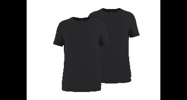 PARKSIDE Set van 2 heren T-shirts (Zwart, XXL)