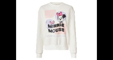 Dames trui (Minnie Mouse, S (36-38))