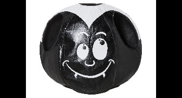 Halloweenkostuum voor kinderen (Vleermuis)