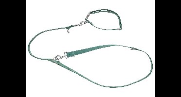 zoofari Hondenhalsband en riem (M, Groen)