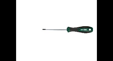 PARKSIDE Schroevendraaier (Torx T20 x 100 mm)