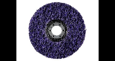 PARKSIDE Haakse slijper accessoires (Reinigingsschijf)