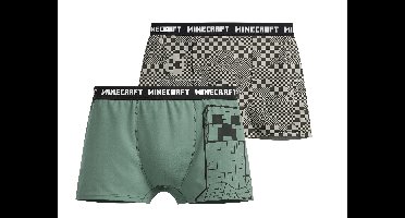 Set van 2 kinder boxers - Minecraft of Pokémon (groen/grijs, 158/164)