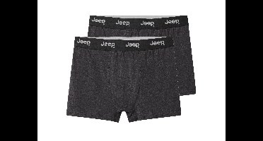 Set van 2 heren boxers (Grijs, L)