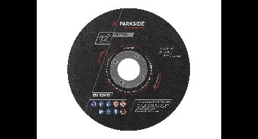 PARKSIDE PERFORMANCE Slijpschijven 125 mm (Slijpschijven 12 stuks)