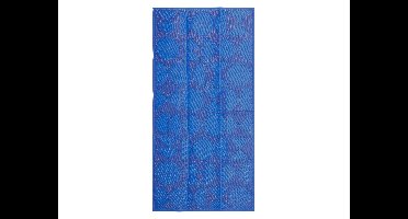 Lidl strandmat 90 x 180 cm (Blauw)