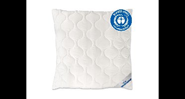 BeCo Hoofdkussen EcoWell - katoen (80 X 80 cm)