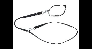 zoofari Hondenhalsband en riem (S, Zwart)