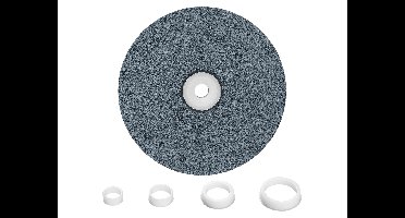 PARKSIDE Bandschuurmachine accessoires (Schuurschijf)