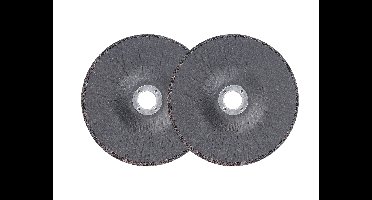 PARKSIDE Slijpschijven of doorslijpschijven (2 slijpschijven)