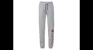 Heren joggingbroek met print op het been (L, Grijs)