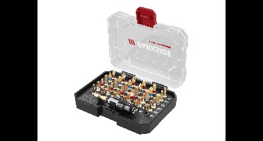 PARKSIDE PERFORMANCE Bitset of bit- en dopsleutelset (torsiebitset, 37 stuks)