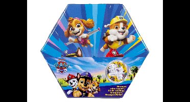 Tekenkoffer 41-delig (Paw Patrol)