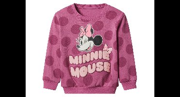 Kinder trui (Minnie Mouse, 110/116)