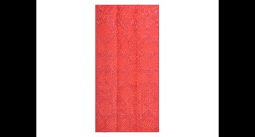 Lidl strandmat 90 x 180 cm (Rood)