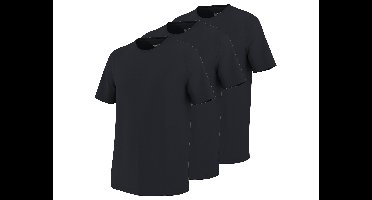 PARKSIDE Set van 3 heren T-shirts (M)