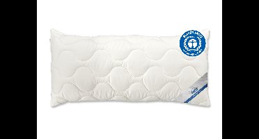 BeCo Hoofdkussen EcoWell - katoen (80 x 40 cm)