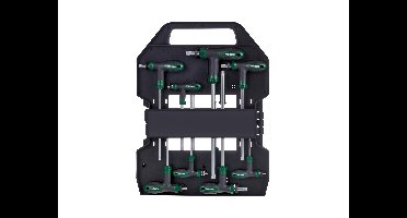 PARKSIDE Stiftsleutelset 16-delig