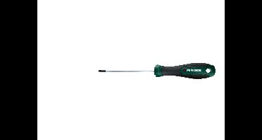 PARKSIDE Schroevendraaier (Kruiskop PH1 x 100 mm)