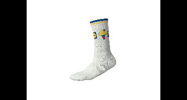 Lidl sokken (Ijs, 43-46)