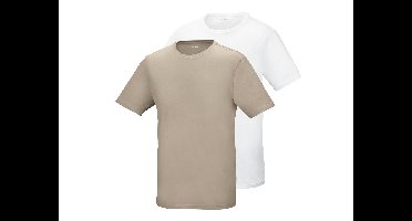 PARKSIDE Set van 2 heren T-shirts (Beige/wit, S)
