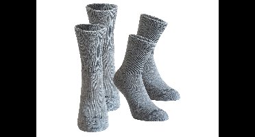 Scholl 2 paar huissokken (Dames, Grijs, 39-42)