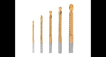 PARKSIDE Speciaalborenset (5-delige freesboor)