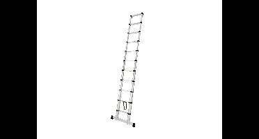 PARKSIDE Telescopische ladder 320 cm