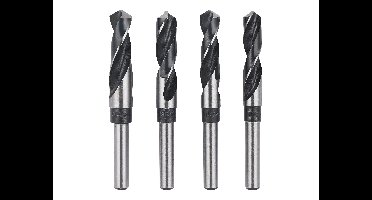 PARKSIDE HSS spiraalboor (4-delig)