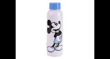 DISNEY Drinkfles (Groot, Mickey Mouse)
