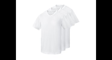 PARKSIDE Set van 3 heren T-shirts (V-hals, XL)