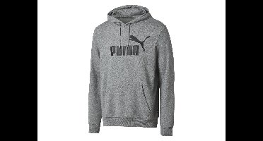 Puma Heren hoodie (Grijs , M)